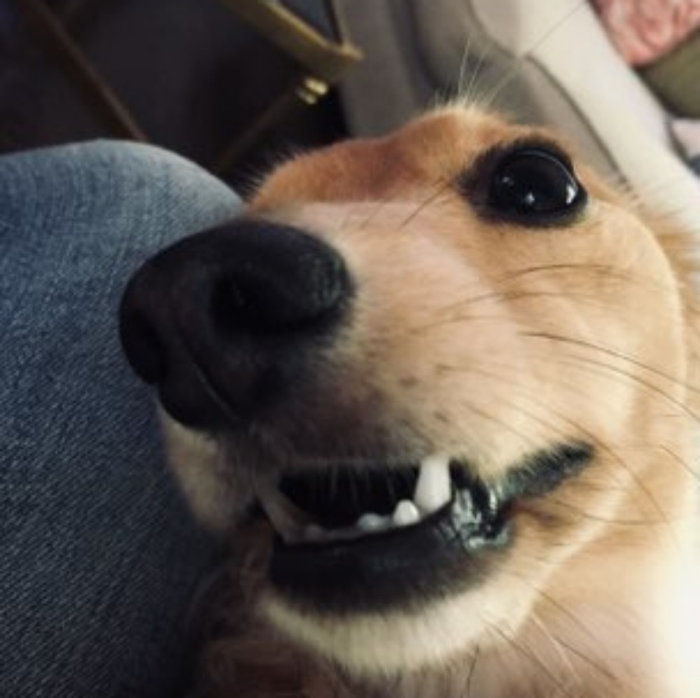 Meet your Posher, Esther